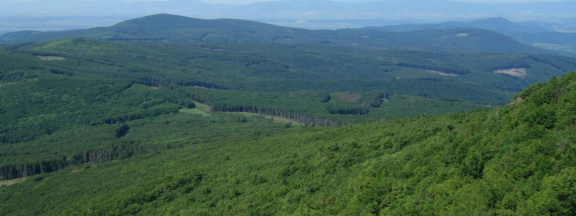 Vihorlat Mountains