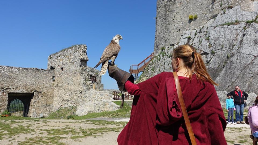 Beckov Castle - Slovakia