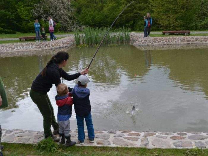 Fishing - Zveropark