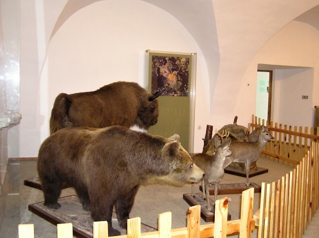 Natural Sciences Exposition - Šariš museum in Bardejov