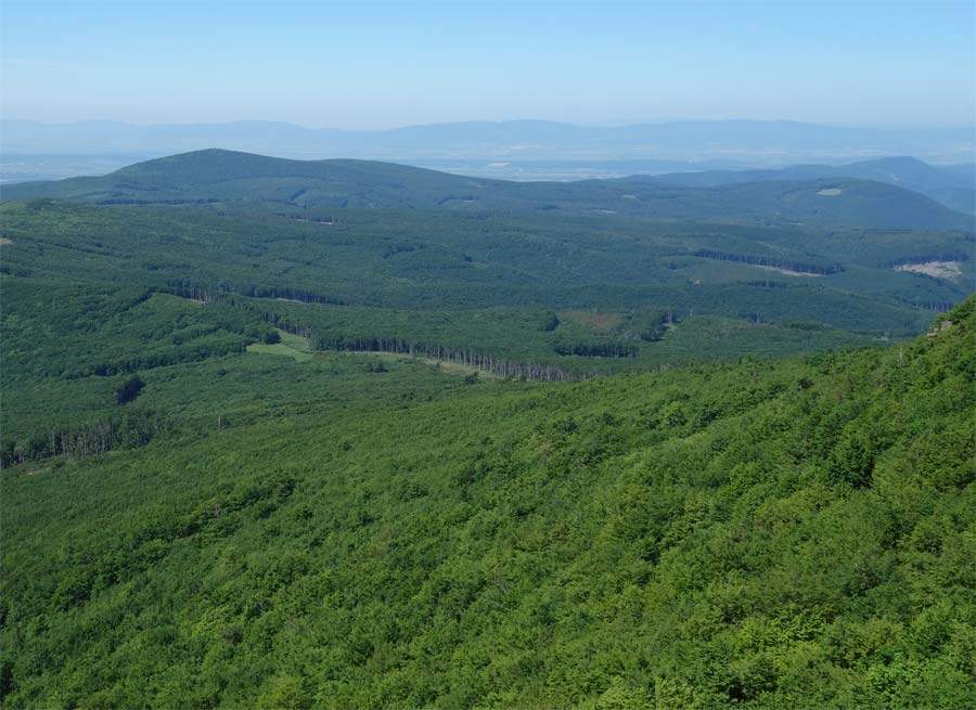 Vihorlat Mountains