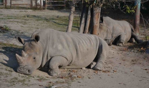 ZOO Bratislava